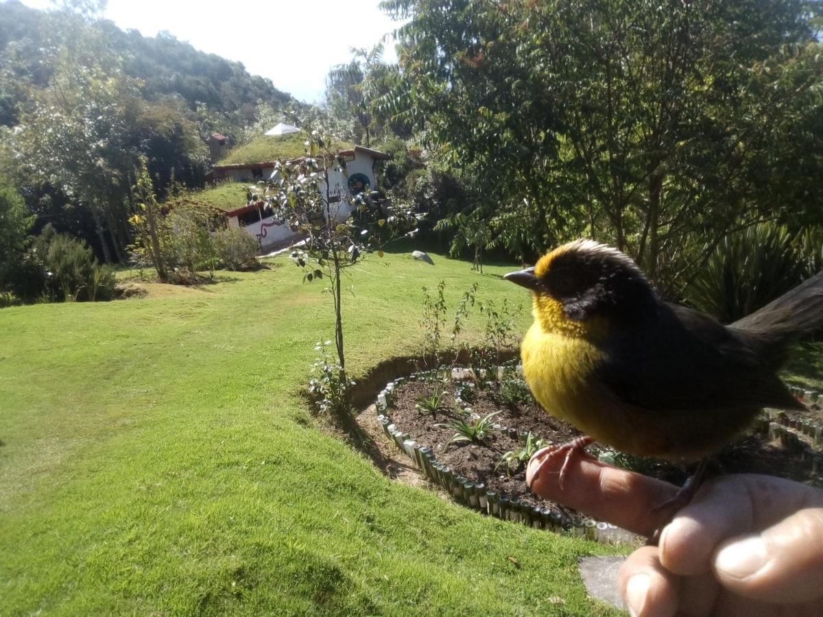 Jardin Colibri Rnt 33633 Villa Guatavita Ngoại thất bức ảnh