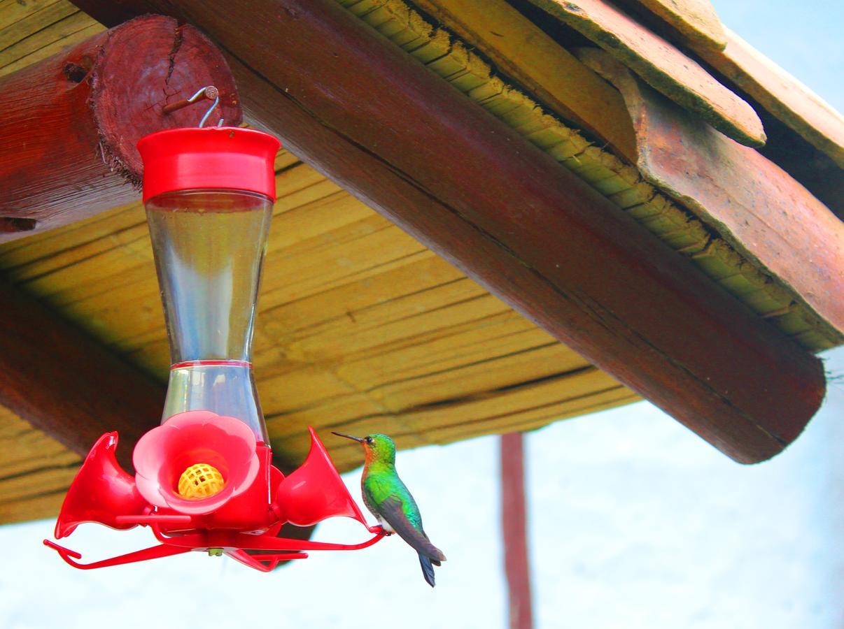 Jardin Colibri Rnt 33633 Villa Guatavita Ngoại thất bức ảnh